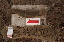 ザゼン草の里まで250ｍ