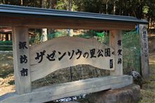ザゼンソウの里公園