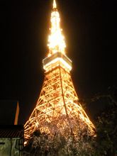 東京芝　とうふ屋うかいでお花見