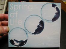 Spring of Life