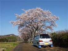 鬼ヶ島にも春が来た