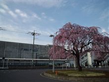 定点観測4/13(金)