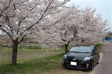 やっぱり車撮りたいじゃん！