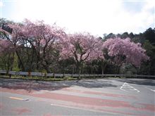 将軍塚方面をRunしてきました 将軍塚方面をRunしてきました