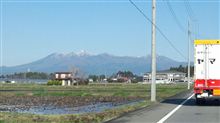 朝から、、、