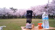 一週間遅れの花見～。。。