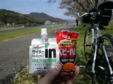 ランチ