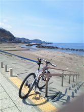 今日は快晴。