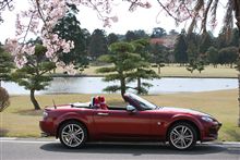 (^○^)　桜もロド君も「春満開！」