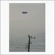 空飛ぶアリ●