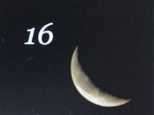 月暦　４月１６日（月）