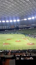 野球観戦（埼玉西武VS北海道日本ハム）
