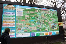 約30年ぶりの高尾山へ①