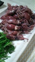 なかなか有意義な１日でしたよ（後編）