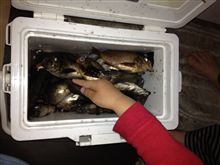 釣果有り！！