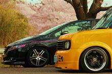 お花見◆ドライブ
