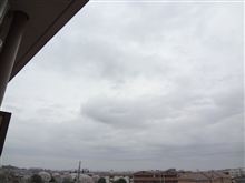 ４月１７日　スッキリしない空模様の火曜日、おはです～♪