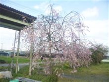 ❤アソコ・・・ピンク色になんだ・・・。❤　ﾊｽﾞｶｼｨ・・(*pωq*)