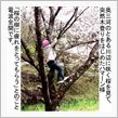 雑感･･･尖閣買い入れに思う