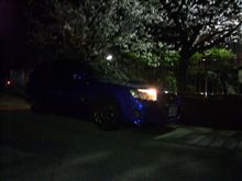 夜桜は