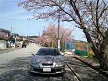 名残の春
