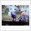日差しがあってかな～