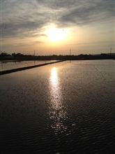 今日もいい天気