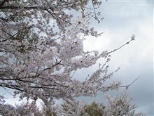 ４月１９日木曜日の日記