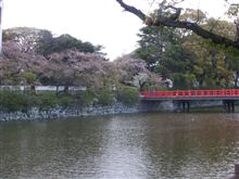 ４月１７日火曜日の日記、小田原城の桜