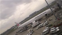 チャンプルしてきます。