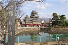 信州　桜の名所　＜高遠城址公園、国宝 松本城 ＞ 