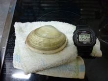 おみやげいただきました。