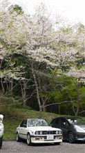 少し遅めのお花見♪ 寺尾ヶ原 千本桜公園