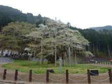 ９年ぶりに・・・