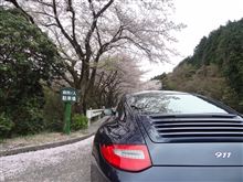 911乗ってみてわかったこと