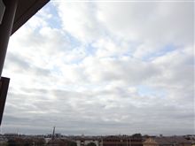 ４月２４日　雨上がりな火曜日、おはです～♪