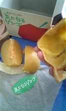 東北方面で流行ってる？