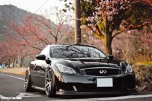 stance nation載っちゃいましたね（照