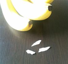 当て逃げされてたのよ～
