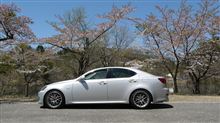 2012 高原の春