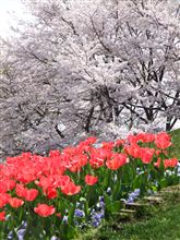 行楽日和、良い天気でした♪