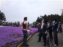 秩父芝桜＆ワイドショー撮影に遭遇