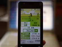 362266歩