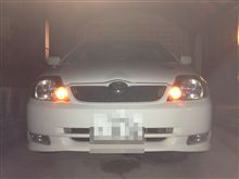 CL7 CL7