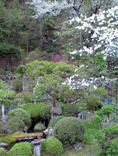 連休初日　しおり戸・袖垣設置