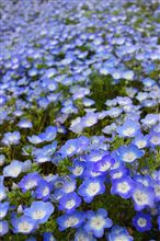 チバーズ写真部活動レポ～2012年4月～