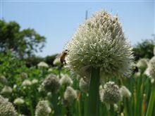 そろそろ暑くなってきたので…