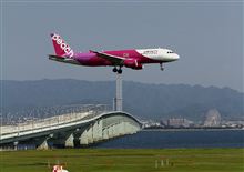 おやぢ放牧（最終日）