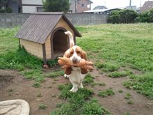とったぞ！