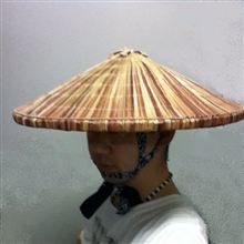 田笠 田笠